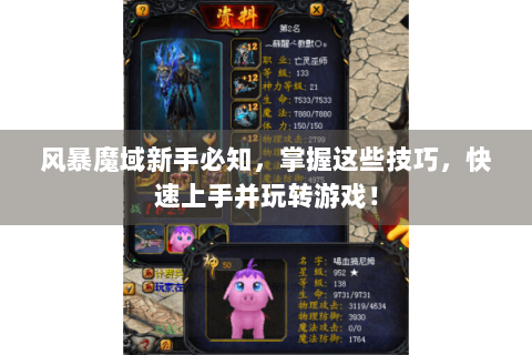 风暴魔域新手必知，掌握这些技巧，快速上手并玩转游戏！