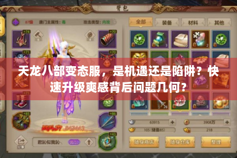 天龙八部变态服，是机遇还是陷阱？快速升级爽感背后问题几何？