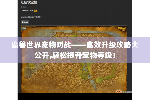 魔兽世界宠物对战——高效升级攻略大公开,轻松提升宠物等级！