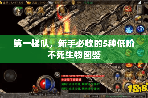 第一梯队，新手必收的5种低阶不死生物图鉴
