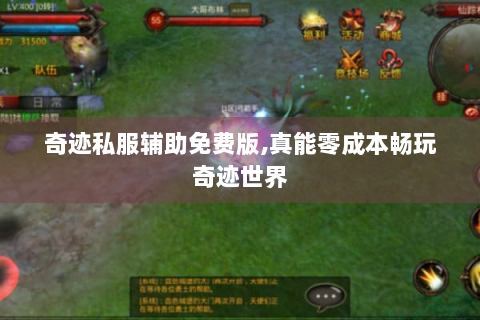 奇迹私服辅助免费版,真能零成本畅玩奇迹世界
