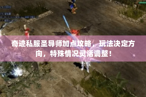 奇迹私服圣导师加点攻略，玩法决定方向，特殊情况灵活调整！