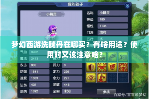 梦幻西游洗髓丹在哪买？有啥用途？使用时又该注意啥？