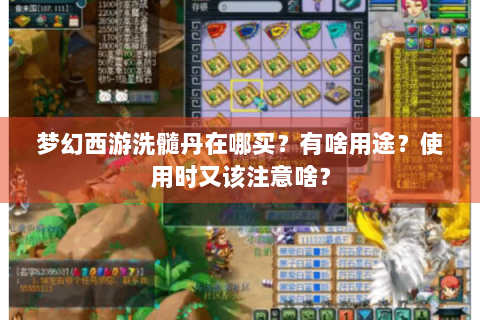 梦幻西游洗髓丹在哪买？有啥用途？使用时又该注意啥？