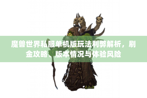 魔兽世界私服单机版玩法利弊解析，刷金攻略、版本情况与体验风险