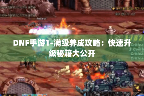 DNF手游1-满级养成攻略：快速升级秘籍大公开
