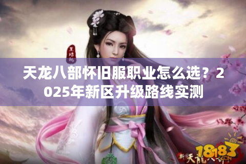 天龙八部怀旧服职业怎么选？2025年新区升级路线实测