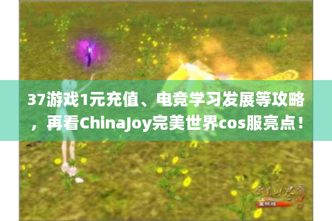 37游戏1元充值、电竞学习发展等攻略，再看ChinaJoy完美世界cos服亮点！