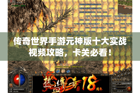 传奇世界手游元神版十大实战视频攻略，卡关必看！