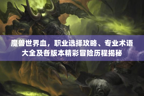魔兽世界血，职业选择攻略、专业术语大全及各版本精彩冒险历程揭秘