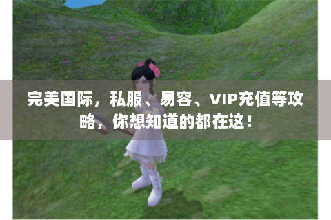 完美国际，私服、易容、VIP充值等攻略，你想知道的都在这！