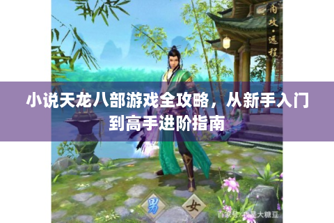 小说天龙八部游戏全攻略，从新手入门到高手进阶指南