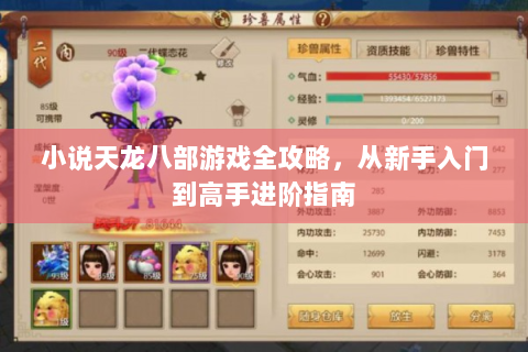 小说天龙八部游戏全攻略，从新手入门到高手进阶指南