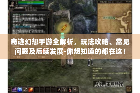 奇迹幻想手游全解析，玩法攻略、常见问题及后续发展-你想知道的都在这！