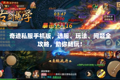 奇迹私服手机版，选服、玩法、问题全攻略，助你畅玩！