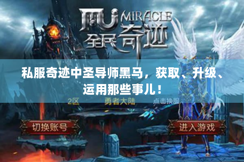 私服奇迹中圣导师黑马，获取、升级、运用那些事儿！