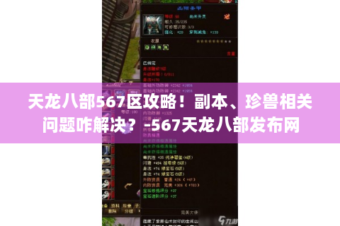 天龙八部567区攻略！副本、珍兽相关问题咋解决？-567天龙八部发布网