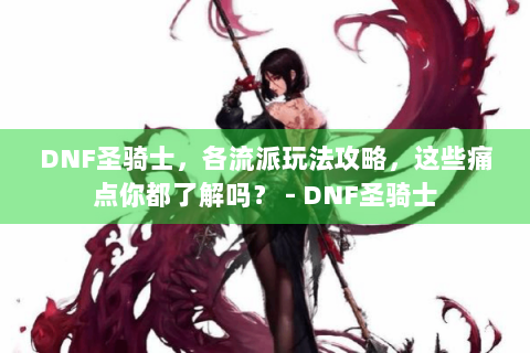 DNF圣骑士，各流派玩法攻略，这些痛点你都了解吗？ - DNF圣骑士