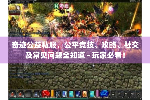 奇迹公益私服，公平竞技、攻略、社交及常见问题全知道 - 玩家必看！