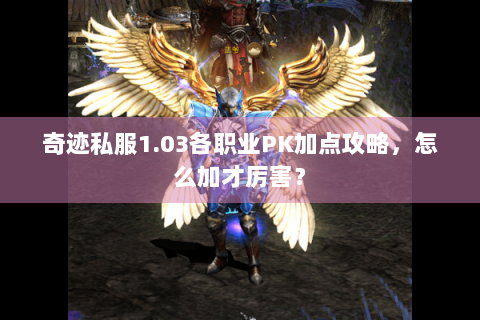 奇迹私服1.03各职业PK加点攻略，怎么加才厉害？