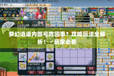 梦幻逍遥内部号咋回事？攻略玩法全解析！ - 玩家必看