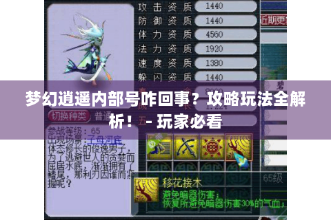 梦幻逍遥内部号咋回事？攻略玩法全解析！ - 玩家必看