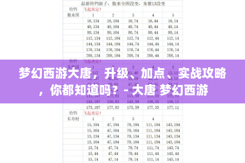 梦幻西游大唐，升级、加点、实战攻略，你都知道吗？- 大唐 梦幻西游