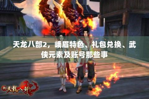 天龙八部2，峨眉特色、礼包兑换、武侠元素及账号那些事