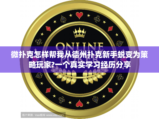 微扑克怎样帮我从德州扑克新手蜕变为策略玩家?一个真实学习经历分享