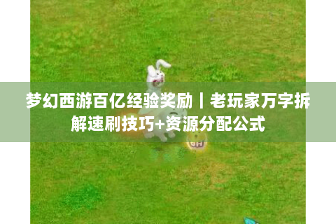梦幻西游百亿经验奖励｜老玩家万字拆解速刷技巧+资源分配公式