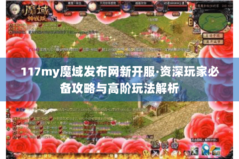 117my魔域发布网新开服·资深玩家必备攻略与高阶玩法解析