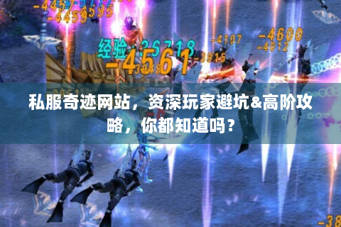 私服奇迹网站，资深玩家避坑&高阶攻略，你都知道吗？