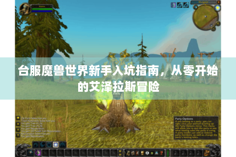 台服魔兽世界新手入坑指南，从零开始的艾泽拉斯冒险