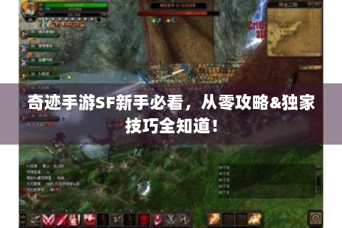 奇迹手游SF新手必看，从零攻略&独家技巧全知道！