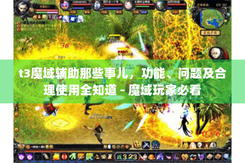 t3魔域辅助那些事儿，功能、问题及合理使用全知道 - 魔域玩家必看