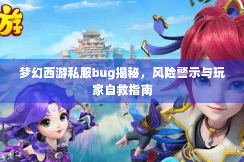 梦幻西游私服bug揭秘，风险警示与玩家自救指南