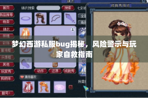 梦幻西游私服bug揭秘，风险警示与玩家自救指南