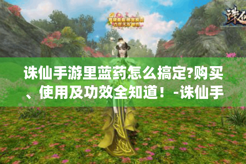 诛仙手游里蓝药怎么搞定?购买、使用及功效全知道！-诛仙手游蓝药