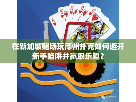 在新加坡赌场玩德州扑克如何避开新手陷阱并赢取乐趣？