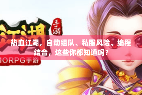 热血江湖，自动组队、私服风险、编程结合，这些你都知道吗？