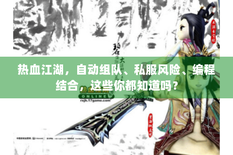 热血江湖，自动组队、私服风险、编程结合，这些你都知道吗？