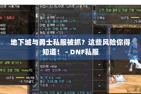 地下城与勇士私服被抓？这些风险你得知道！ - DNF私服
