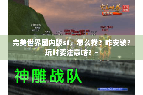 完美世界国内版sf，怎么找？咋安装？玩时要注意啥？-