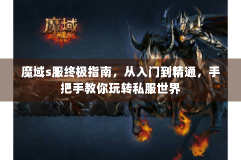魔域s服终极指南，从入门到精通，手把手教你玩转私服世界