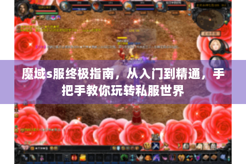 魔域s服终极指南，从入门到精通，手把手教你玩转私服世界