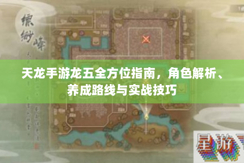 天龙手游龙五全方位指南，角色解析、养成路线与实战技巧