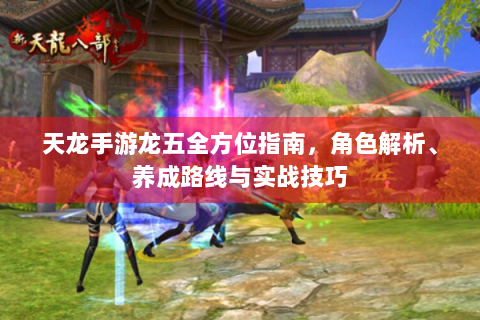 天龙手游龙五全方位指南，角色解析、养成路线与实战技巧