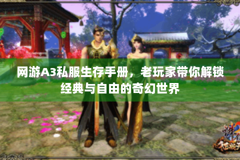 网游A3私服生存手册，老玩家带你解锁经典与自由的奇幻世界