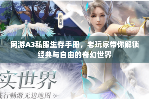 网游A3私服生存手册，老玩家带你解锁经典与自由的奇幻世界