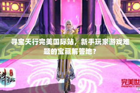 寻宝天行完美国际站，新手玩家游戏难题的宝藏解答地？